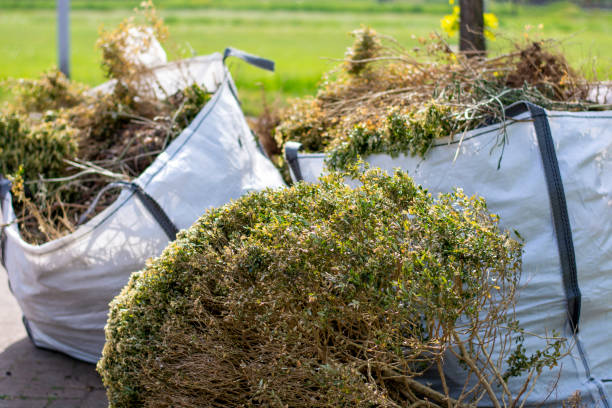 Trusted Grottoes, VA Junk Removal Experts
